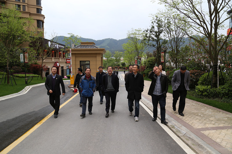 集團公司領(lǐng)導(dǎo)調(diào)研瀾庭國際項目建設(shè)銷售情況